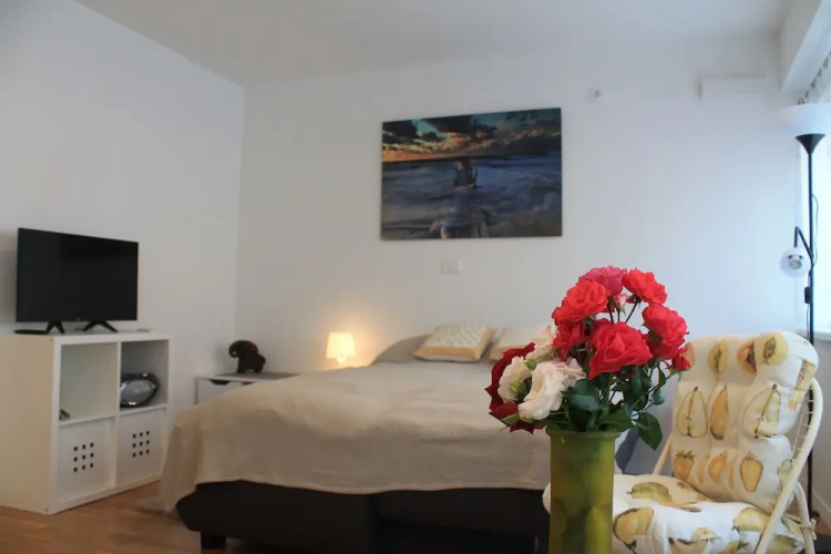 Studio Apartment Mali Ty