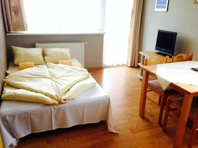 1 Bedroom Apartment with balcony and with lake view