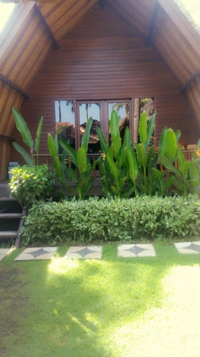 Welly Bungalow