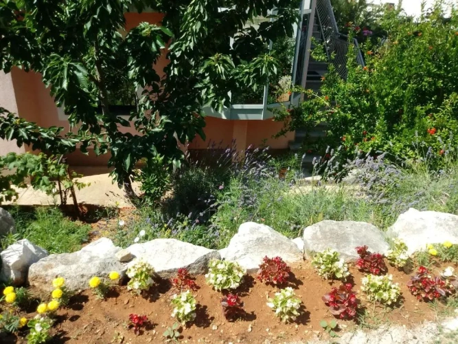 1 Bedroom Apartment with balcony and with garden view