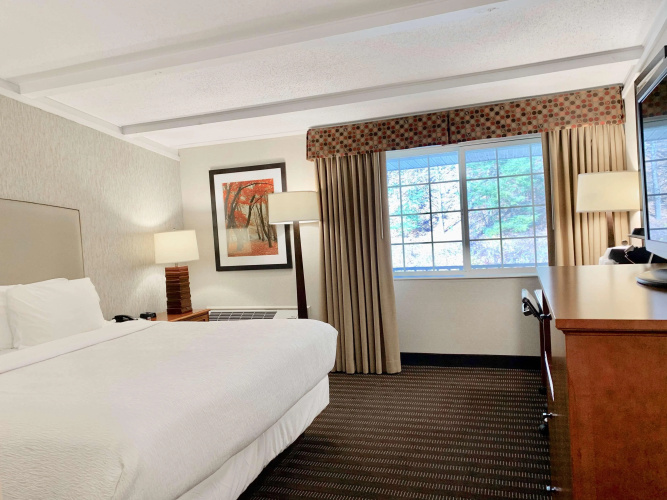 Best Western Springfield Hotel