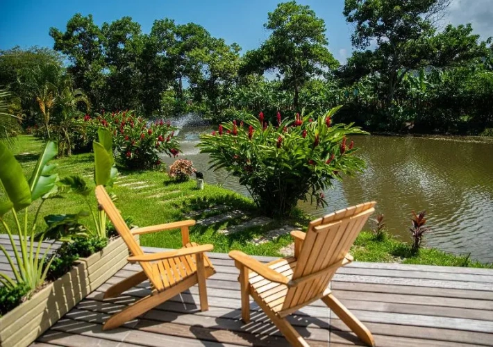 Standard Double room with garden view