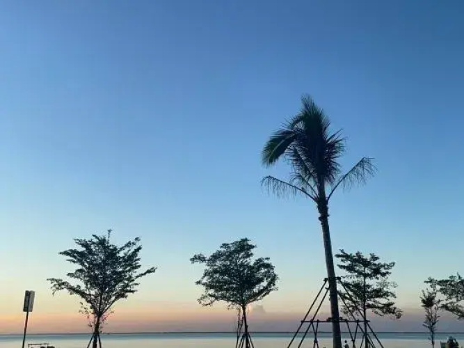 Beihai Chenguang Hotel
