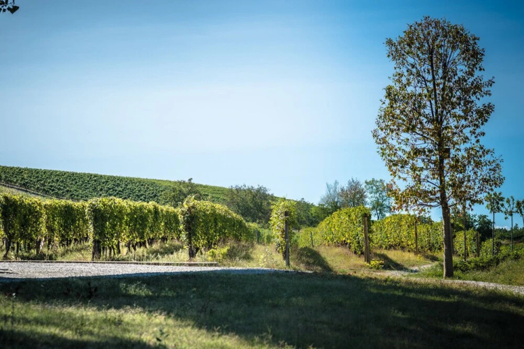 Agriturismo Rivetto