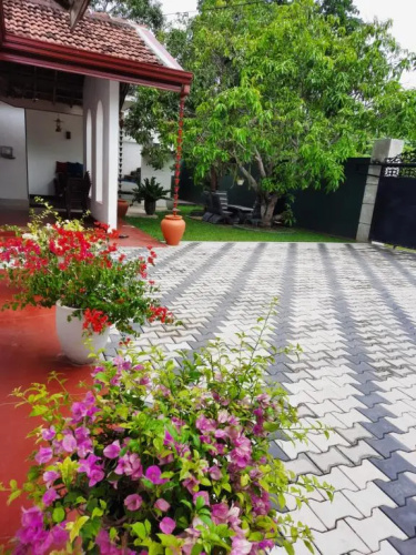 Paradise Ocean Homestay