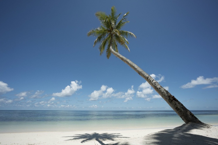 Four Seasons Resort Seychelles at Desroches Island photo 35