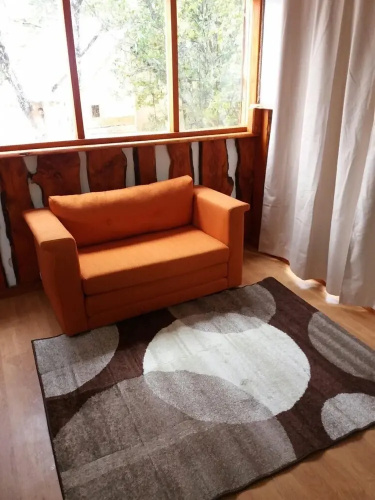 Lodge Palguin Alto