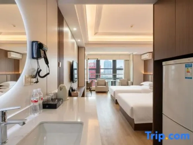 Deluxe Twin room with city view