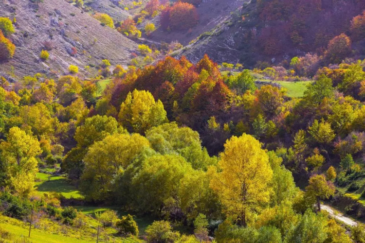 Appartamento a Campo Felice - Treeffe