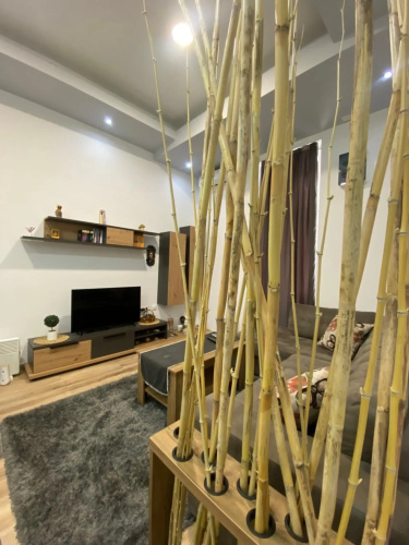 Apartment Neno 2