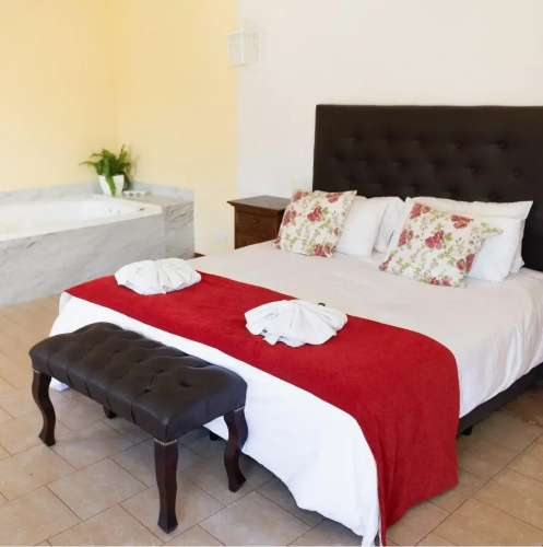 Hotel y Spa San Carlos
