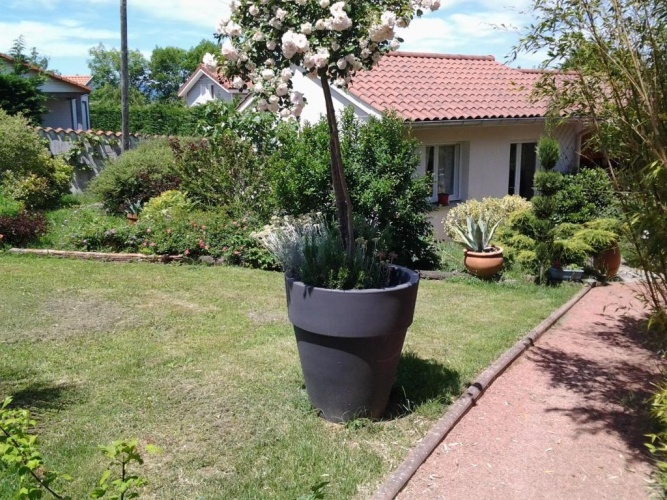Standard Double room with garden view