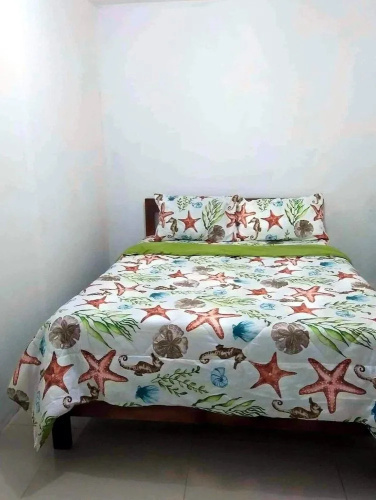 La Mallorca Backpackers Inn - Hostel - Adults Only