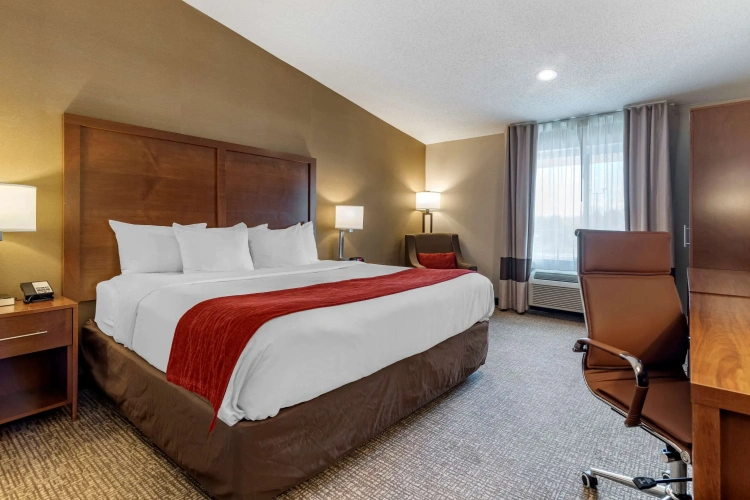 Standard Double room