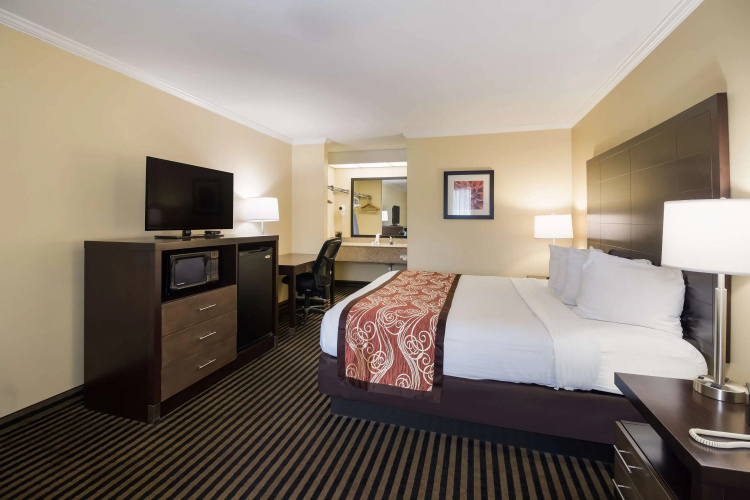 Best Western McKenzie