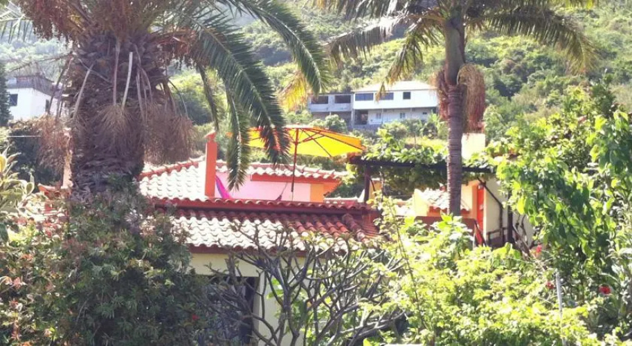 Casa da Arvore