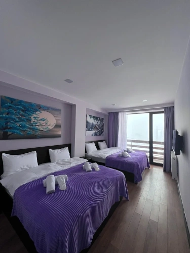 Standard Quadruple room with mountain view
