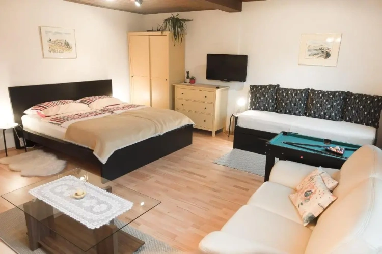 Deluxe Apartment