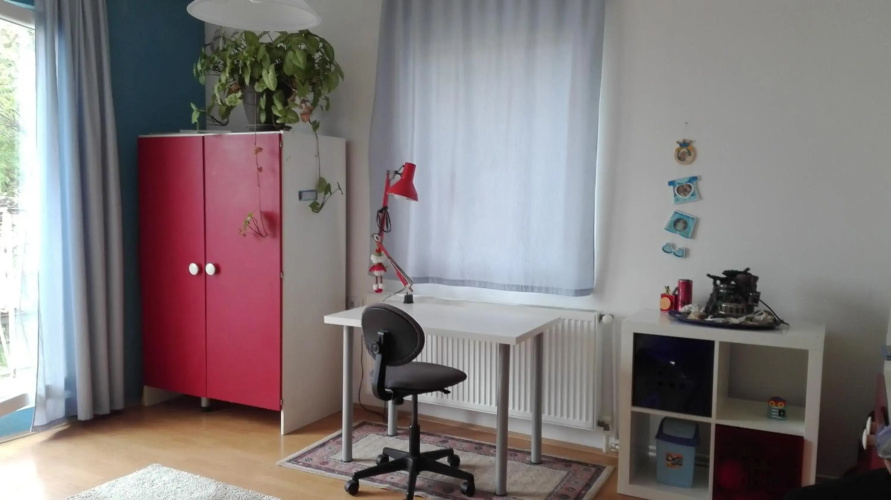 Apartment Vladan