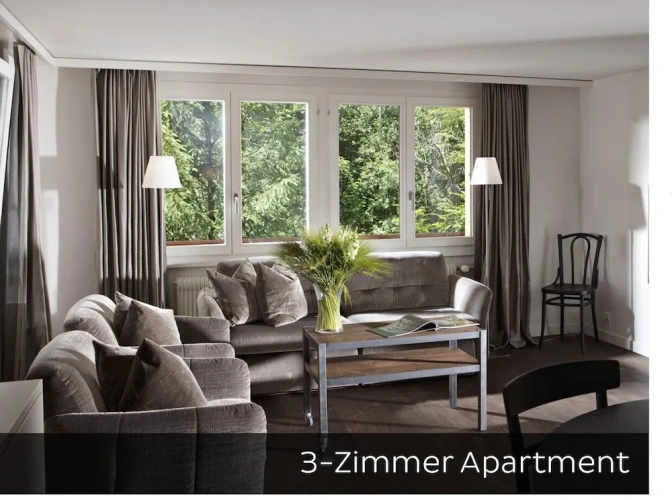 1 Bedroom Standard Apartment