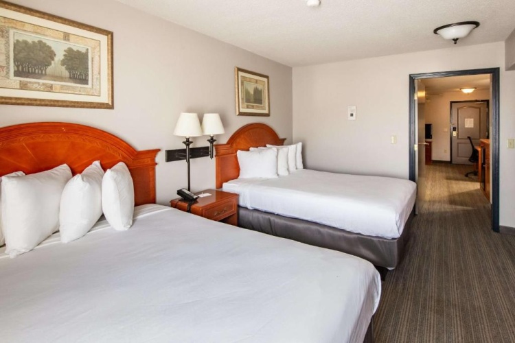 1 Bedroom Quadruple Suite
