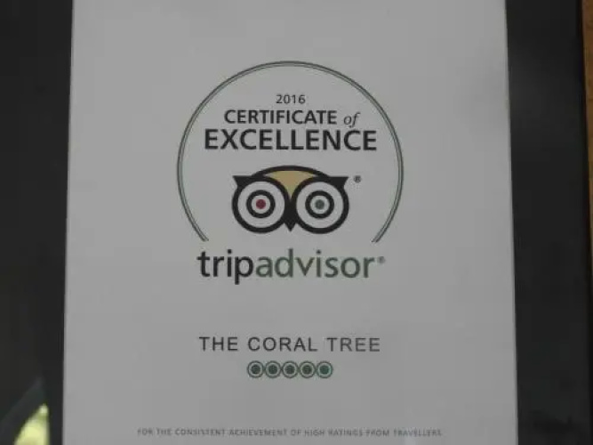 The Coral Tree Homestay