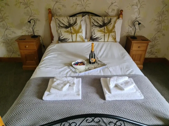 Deluxe Double room with balcony
