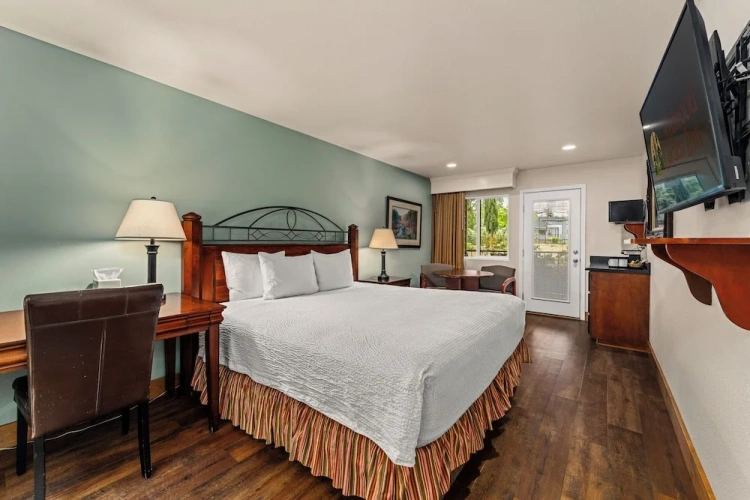Standard Double Basement room