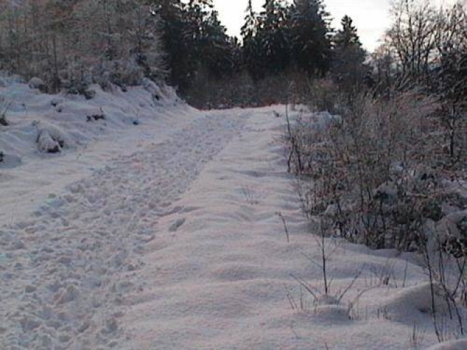 Saint-Hubert
