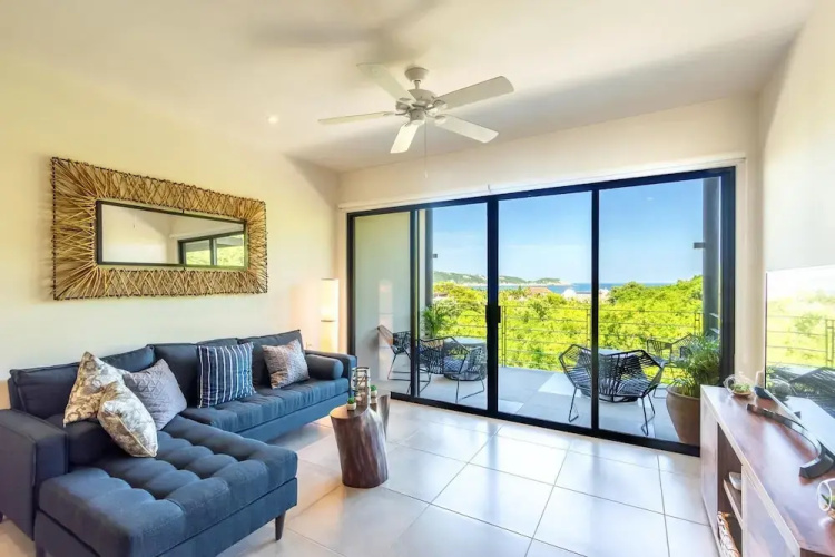 Agaves 204