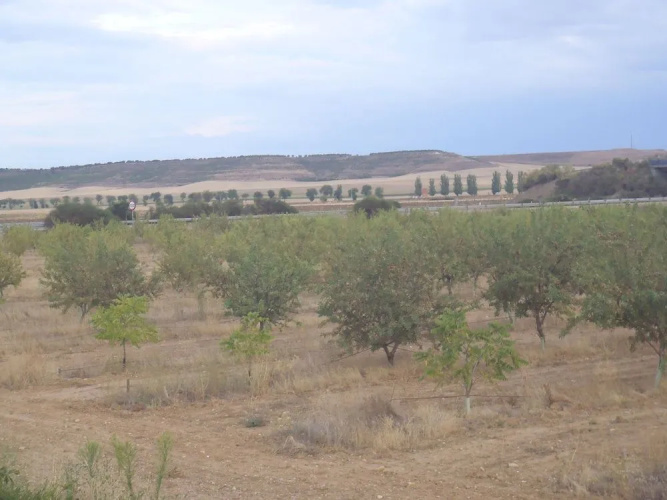 La Huella Verde