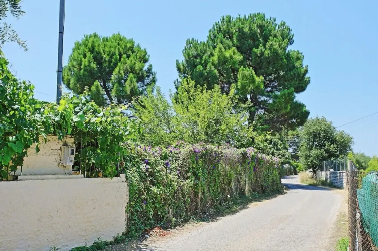 Dalia Apartment