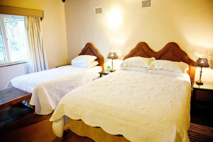 Standard Double Family room