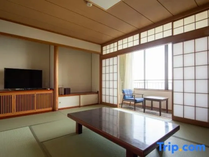 Standard Double room with ocean view