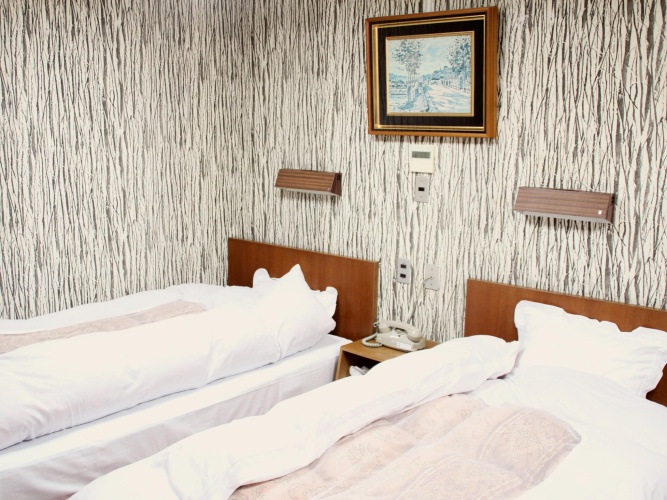Standard Twin room with city view