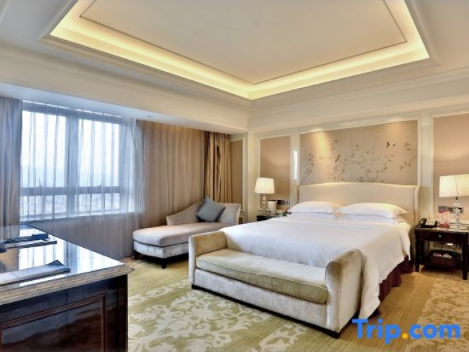 Business Suite