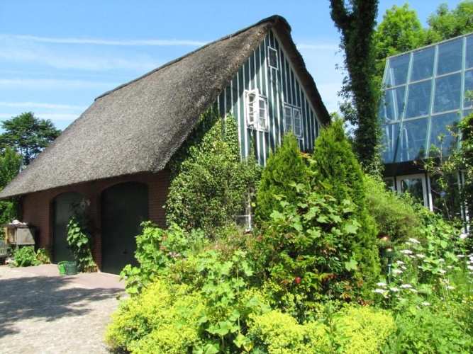 Cottage