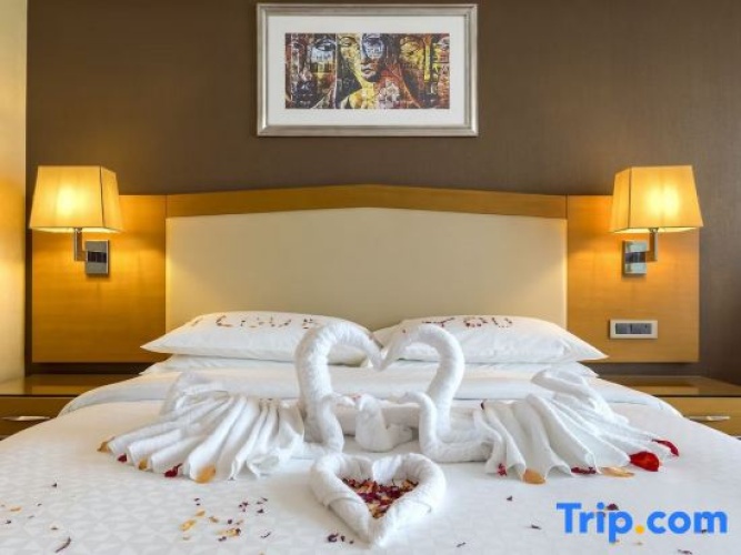 1 Bedroom Business Double Suite with city view