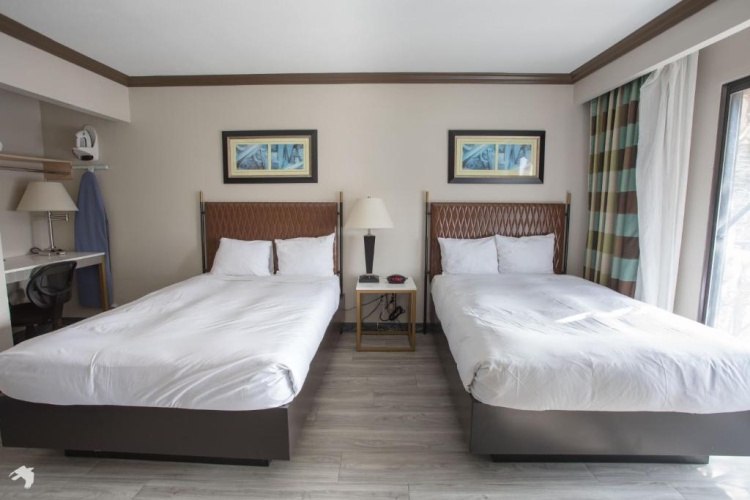 Standard Quadruple Suite