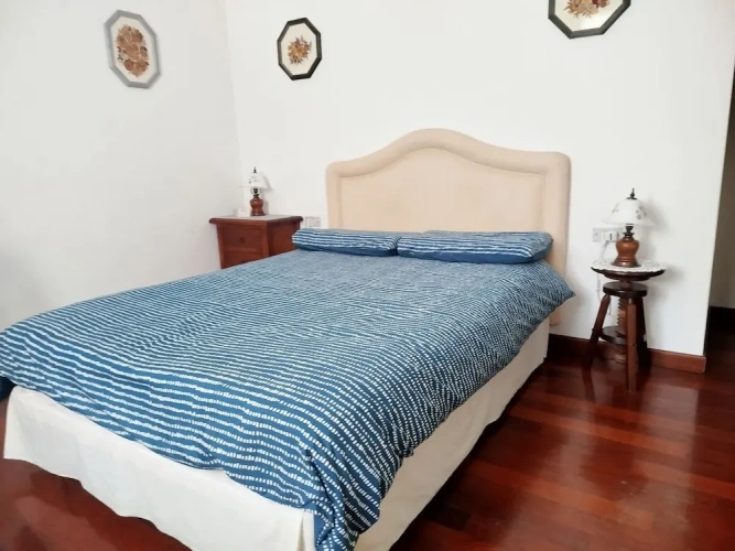 Standard Single room with garden view