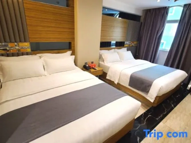 Deluxe Twin Family room