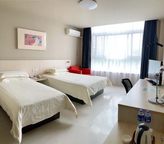 Standard Twin room with view