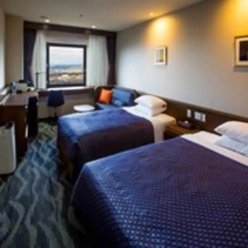 Standard Twin room with city view