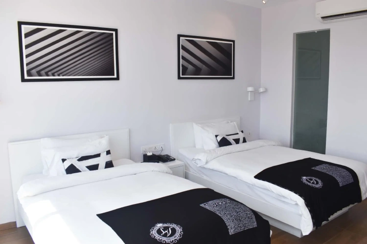 Deluxe Twin room
