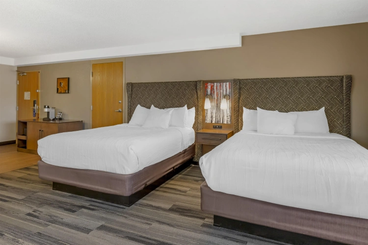 Quadruple Suite