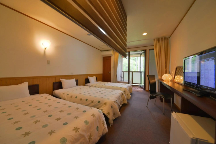 Hotel Casual Euro
