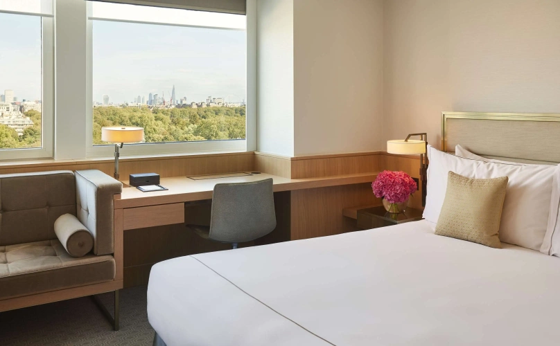Deluxe Superior Double room