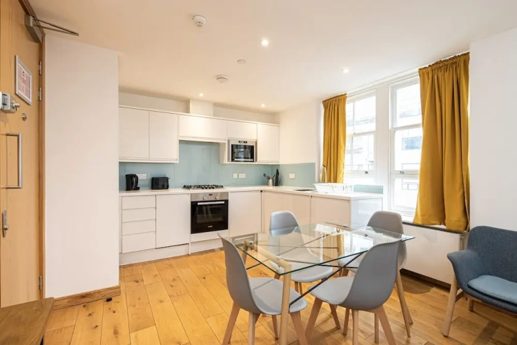 Deluxe Apartment with city view