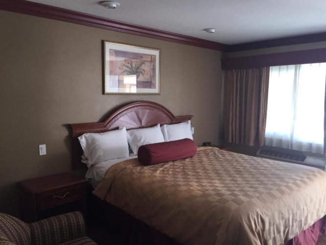 1 Bedroom Suite