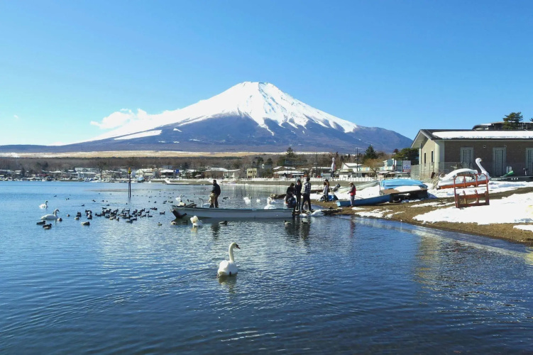 ZERO-Project Japan GuestHouse